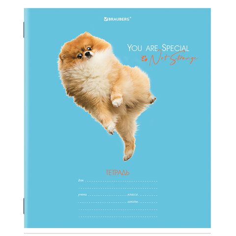 Тетрадь 18л линия обложка картон СОБАЧКИ BRAUBERG 1/20/200 Тетрадь 18л линия обложка картон СОБАЧКИ BRAUBERG 1/20/200