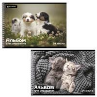 Альбом для рисования А4 24л гребень обложка картон BRAUBERG Питомцы 1/10/40