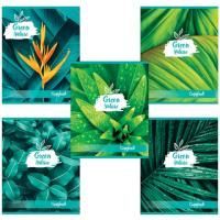 Тетрадь 48л А5 клетка обложка картон GREEN NATURE BRAUBERG 1/10/100 Тетрадь 48л А5 клетка обложка картон GREEN NATURE BRAUBERG 1/10/100