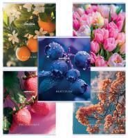 Тетрадь 48л А5 клетка скоба STAFF College Природа 1/10/100