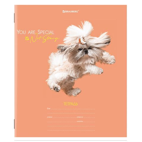 Тетрадь 18л линия обложка картон СОБАЧКИ BRAUBERG 1/20/200 Тетрадь 18л линия обложка картон СОБАЧКИ BRAUBERG 1/20/200