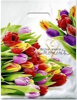 Пакет с вырубной ручкой (31х40)-60 Этюд ламинат 50/500