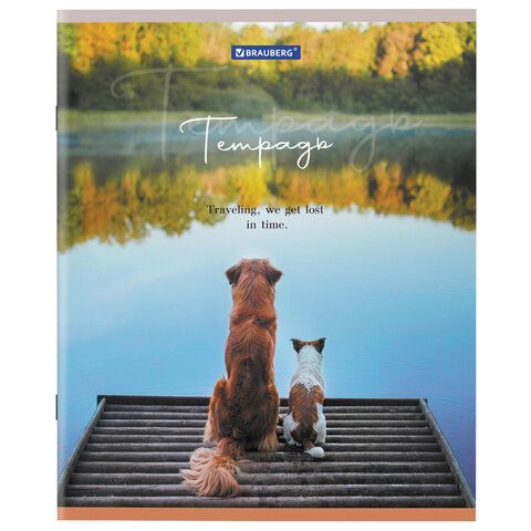 Тетрадь 48л А5 клетка Best Friends BRAUBERG 10/100 Тетрадь 48л А5 клетка Best Friends BRAUBERG 10/100
