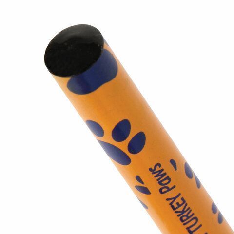Карандаш ч/гр НВ ассорти дисплей BRAUBERG PREMIUM TURKEY Paws 181566