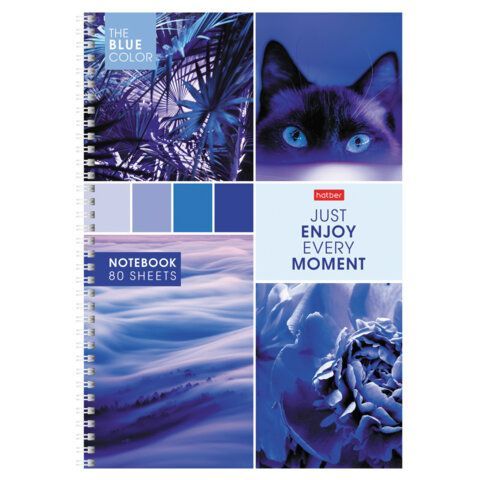 Тетрадь 80л А4 клетка гребень картон HATBER 1/4/28