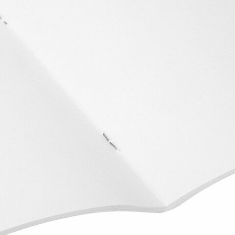 Альбом для рисования 20л А4 на скрепке Саванна ПИФАГОР 1/50 Альбом для рисования 20л А4 на скрепке Саванна ПИФАГОР 1/50