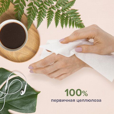 Салфетки косметические 2-сл в короб 20х20см (100шт) в картонном боксе Лайма 1/35 (клиент)