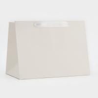 Пакет подарочный бумажный (25х19x18) с широким дном белый 1/10/300