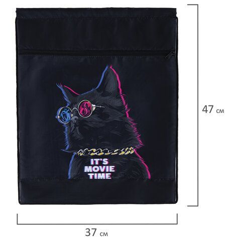 Мешок для обуви 47х37см с петлей карман на молнии Movie time BRAUBERG