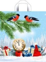 НГ Пакет с петлевой ручкой (42х44)-70 Пернатые друзья ТИКО 50/300