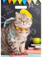 Пакет с вырубной ручкой (31,5х43)-50 Грэй Глосс Кот Тико 50/500