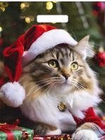 НГ Пакет с вырубной ручкой (31х40)-60 Новогодний Мур ТИКО 50/500