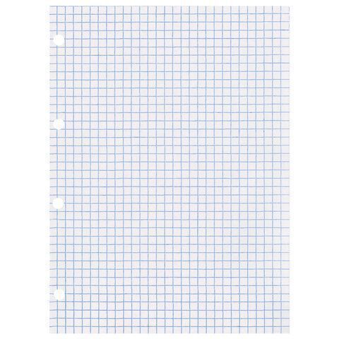 Сменный блок к тетради на кольцах 80л А4 клетка BRAUBERG ЭКО 1/30 Сменный блок к тетради на кольцах 80л А4 клетка BRAUBERG ЭКО 1/30