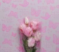 Ролик 70см х8м пленка полипропилен с рисунком Бабочки розовый 1/10