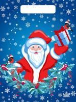 НГ Пакет с вырубной ручкой (20х30)-30 Подарок Деда Мороза ТИКО 100/3000