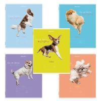 Тетрадь 18л линия обложка картон СОБАЧКИ BRAUBERG 1/20/200