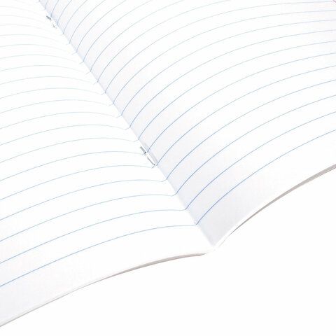 Тетрадь 18л линия обложка картон СОБАЧКИ BRAUBERG 1/20/200 Тетрадь 18л линия обложка картон СОБАЧКИ BRAUBERG 1/20/200