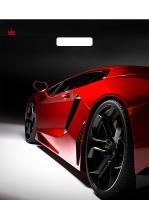 Пакет с вырубной ручкой (38х45)-60 Автошик Тико 50/500