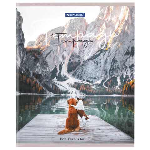 Тетрадь 48л А5 клетка Best Friends BRAUBERG 10/100 Тетрадь 48л А5 клетка Best Friends BRAUBERG 10/100