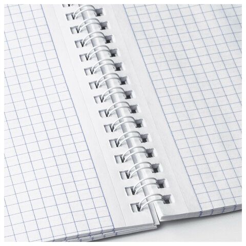 Блокнот А5 (146х205мм) 60л гребень, картон, клетка BRAUBERG Classic 1/4/80