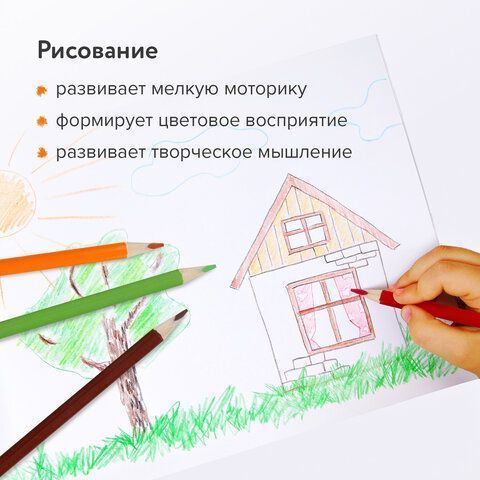 Карандаши цветные 12цв трехгранные с РАСКРАСКОЙ СУПЕРМЯГКИЕ ЮНЛАНДИЯ ТРОПИКИ (вывод)