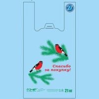 Пакет Майка ПНД (26+14)х48-12 голубой Снегири ЭТ 100/2000 